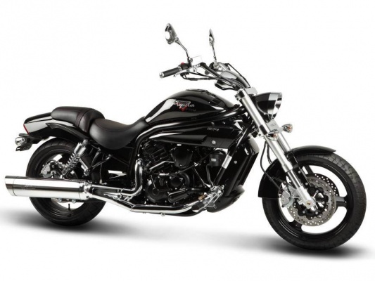 Фото мотоцикла Hyosung GV-650 PROGRESS